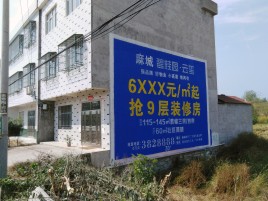 富民墙体广告质量分析
